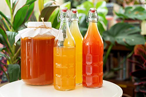 Airtight Flip Top Glass Bottles - 1L Pack of 6