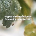 Pyunkang Yul Calming Face Care Gift Set