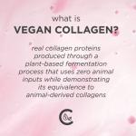 Pacifica Vegan Collagen Complex Serum, 1 oz