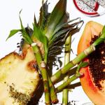 Vegan Yerba Mate Exfoliating Facial Scrub