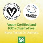 Bee Free Vegan Lip Balm Variety Pack