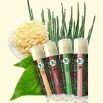 Earth’s Daughter Vegan Lip Balm 4-Pack Assorted Flavors