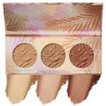 Vegan Murumuru Butter Bronzer Makeup Palette Set