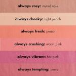 e.l.f. Vegan Primer-Infused Matte Blush - Always Tempting