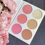 Vegan Blush and Highlight Contour Collection Set