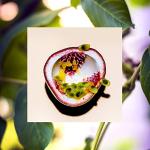 Vegan Biotin Hair Care Bundle: Shampoo & Conditioner