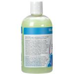 Ginger Lily Farms Vegan Moisturizing Shampoo, 12 Fl Oz