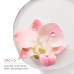 ColorLast Vegan Conditioner by Matrix Biolage, 13.5 oz