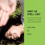 California Naturals Vegan Moisture Conditioner for Dry Hair