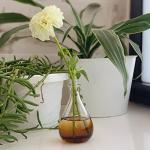 Esscentials Winter White Vegan Fragrance Mist 60ml