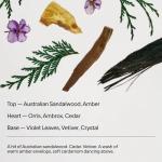 Vegan Body Mist Spray: Santal & Vetiver Scent