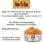 Vegan Pumpkin Enzyme Exfoliating Anti-Aging Treatment