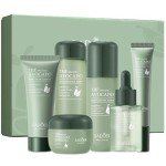 Avocado Skincare Set: 6-Piece Hydrating Kit