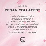 Pacifica Vegan Collagen Face Moisturizer SPF 30