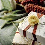 Thrive Vacation Vegan Skincare Gift Set