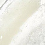 Beekman 1802 Vegan Foaming Face Cleanser – 4oz