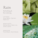 Vegan Eau de Parfum Rollerball Gift Set