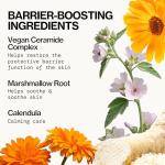 Pacifica Vegan Ceramide Gentle Face Cleanser 5oz