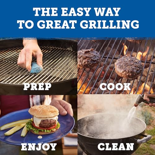 Kingsford Easy Light Charcoal Briquettes, 4 Lb