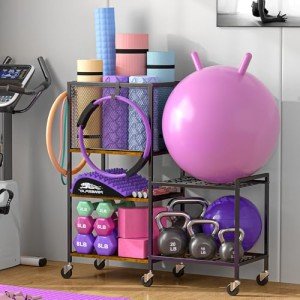 5-Tier Dumbbell Rack and Workout Organizer
