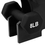 BalanceFrom 32 lb Neoprene Dumbbell Set with Stand