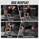 Adjustable Weight Bench for Home Gym Workouts