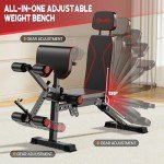 Adjustable Weight Bench for Full Body Workouts