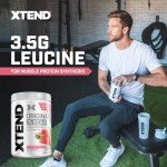 Xtend Original BCAA Powder for Muscle Recovery
