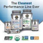 Vegan Organic Post Workout Recovery Powder - Blackberry Lemonade