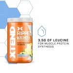 Xtend Ripped BCAA Powder - Blueberry Lemonade 30 Servings