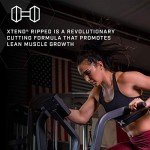 Xtend Ripped BCAA Powder - Blueberry Lemonade 30 Servings