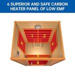 RESTISLAND 1-2 Person Indoor Infrared Sauna Room