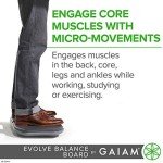 Gaiam Evolve Wobble Balance Board for Home Gym