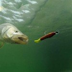 Dr.Fish 10 Pack 3D Eyes Fishing Jigs