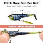 Truscend Handmade Fishing Jigs and Paddle Tail Lures