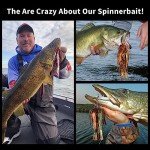 QualyQualy 3-Pack Double Blade Spinner Baits