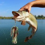 QualyQualy 3-Pack Double Blade Spinner Baits