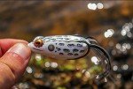 Booyah Pad Crasher Bull Frog Fishing Lure 2.5