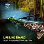 Realistic Floating Frog Lure Kit - Pack of 5