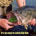 Realistic Floating Frog Lure Kit - Pack of 5