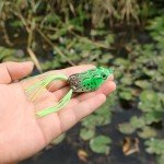 5pcs Frog Fishing Lures with Tackle Box
