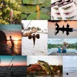 5pcs Frog Fishing Lures with Tackle Box