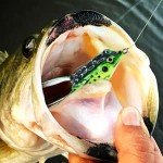 Floating Weedless Frog Fishing Lures – Mix Style