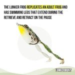 Realistic Topwater Frog Lures Kit for Fishing