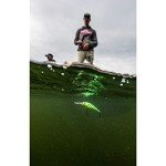 Berkley Flicker Shad Blue Tiger Crankbait Lure
