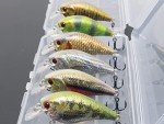 Minnow Crankbait Bass Fishing Lure with Tackle Box