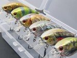 Minnow Crankbait Bass Fishing Lure with Tackle Box