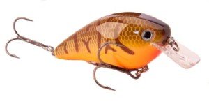 Strike King Square Bill Crankbait - Orange Craw