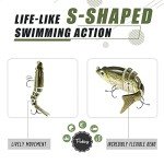 Truscend Multi-Jointed Fishing Lures for Bass