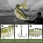 Truscend Multi-Jointed Fishing Lures for Bass